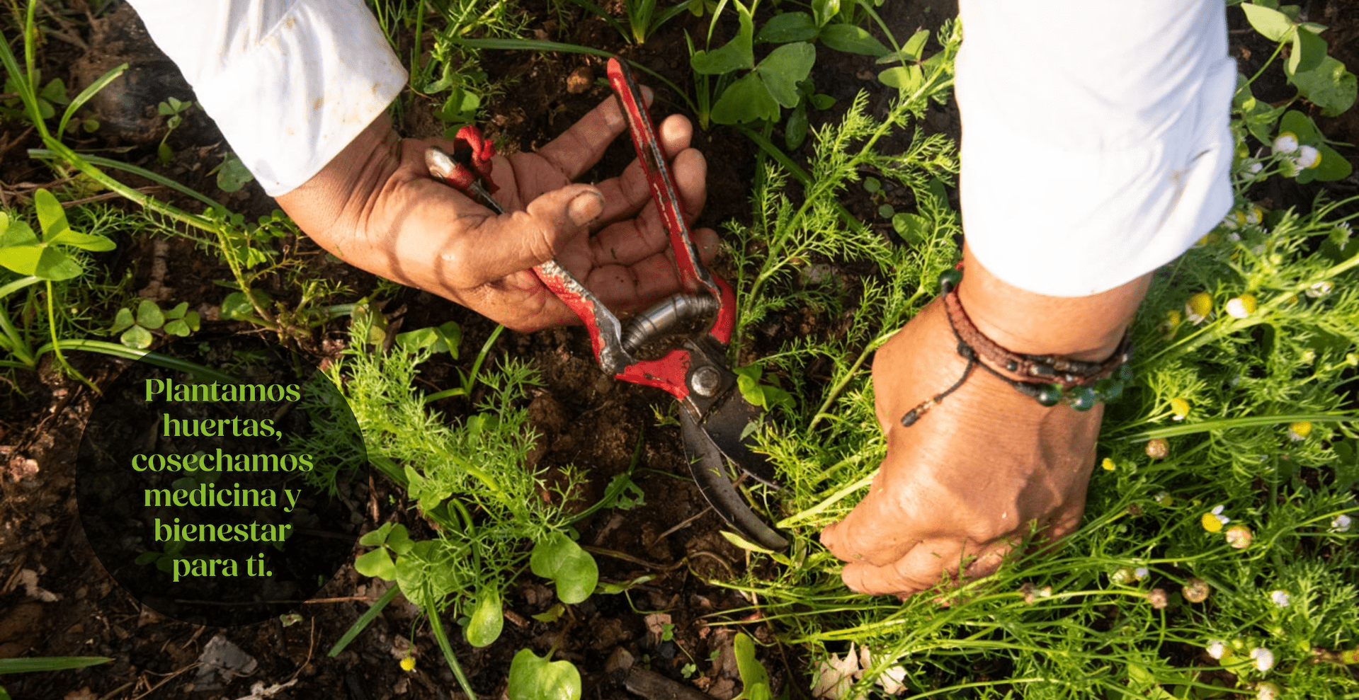 2-GALERIA ENTRADA-min