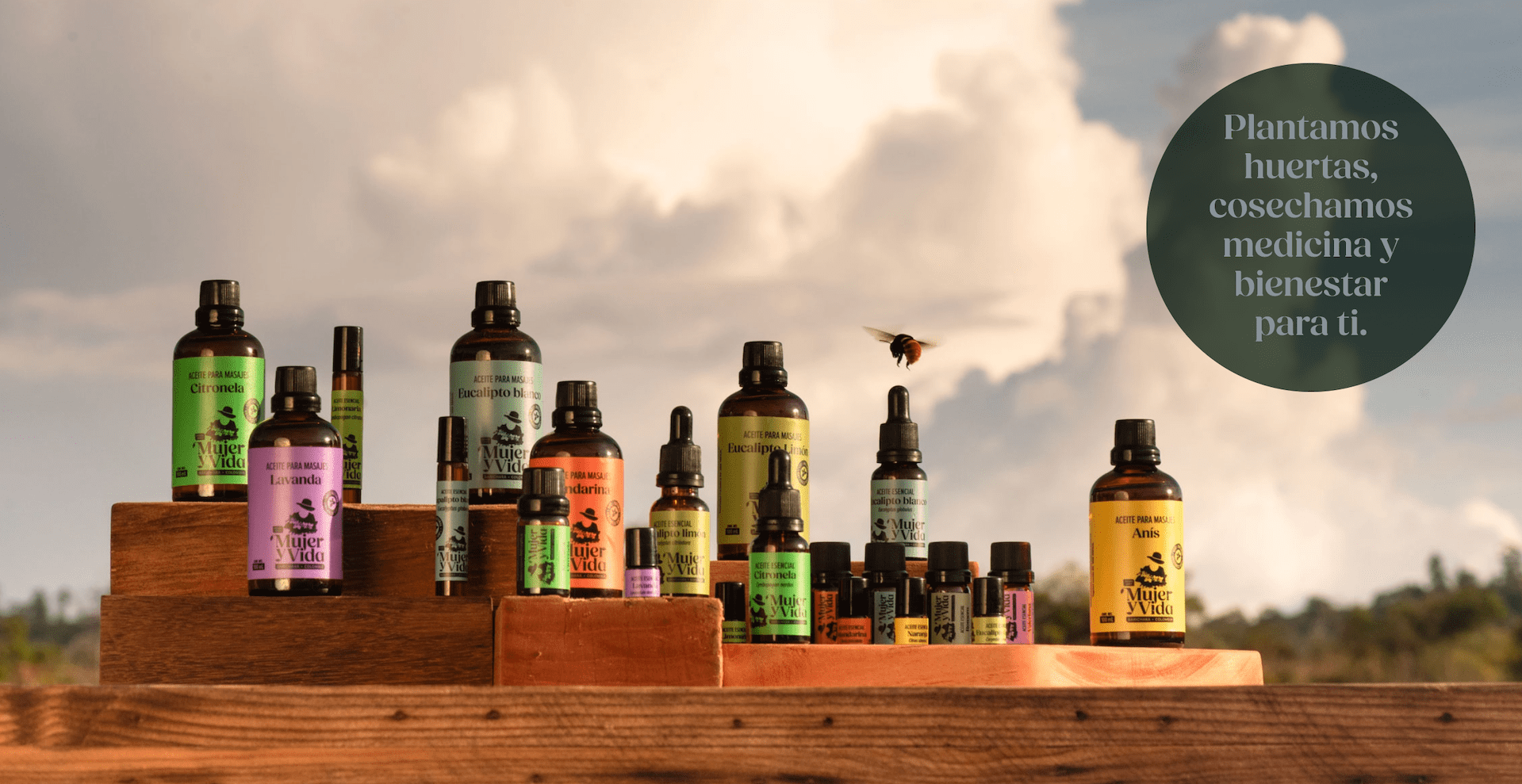 3-GALERIA ENTRADA-min