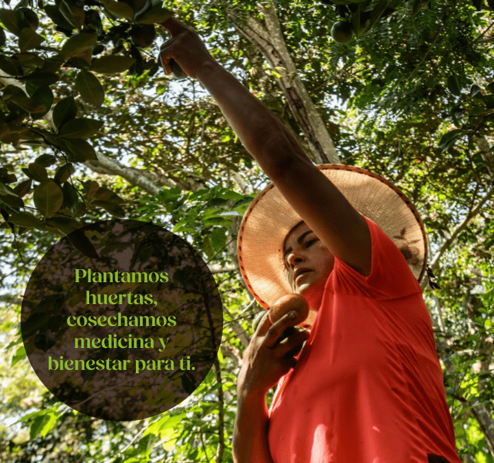 GALERÍA ENTRADA2-min