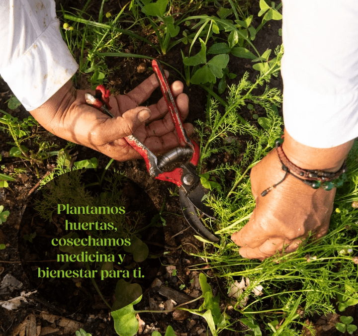 GALERÍA ENTRADA3-min