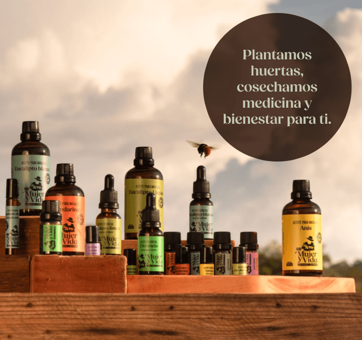 GALERÍA ENTRADA4-min